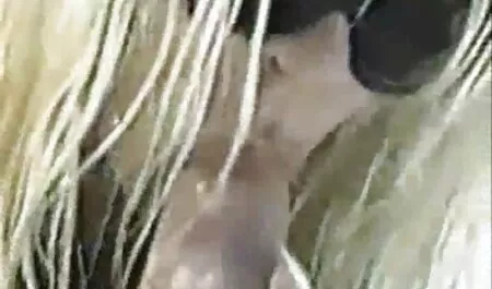 Incurante studente xxx amatoriale video violentato il suo одногруппницу