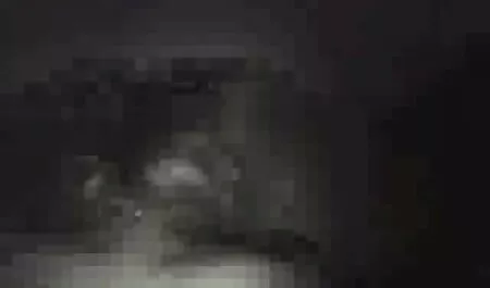 Negri, a turno, cazzo snello bianco video amatoriali xxxx giovenca è gigantesco